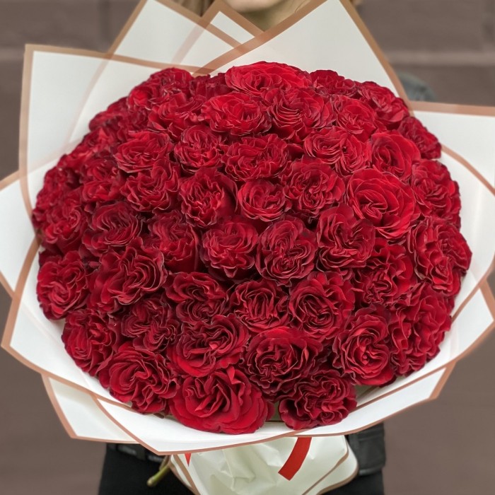 51 красная пионовидная роза Хартс